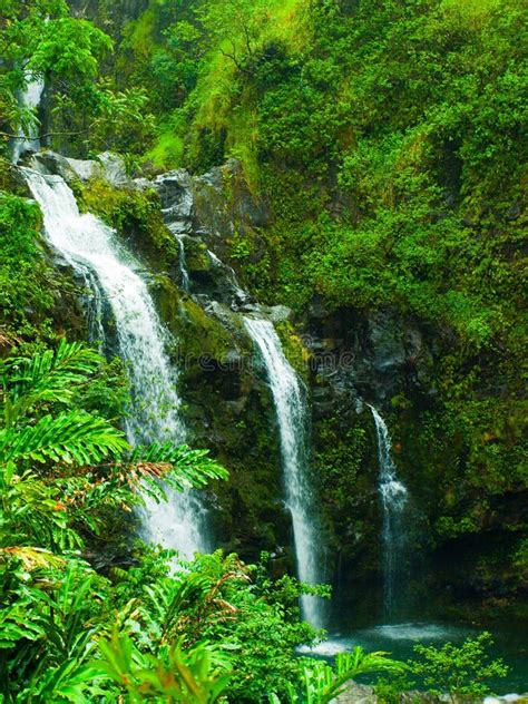 Waterfall And The Greenery On Maui Hawaii Stock Photo Image Of Moss