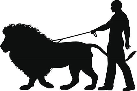 Best Male Lion Walking Illustrations Royalty Free Vector Graphics