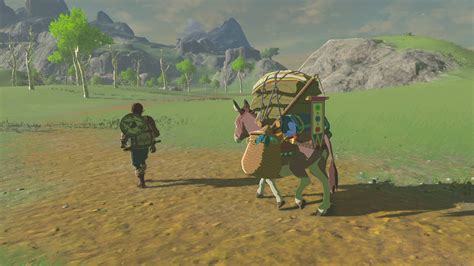 New Zelda Breath Of The Wild Screenshot 21517