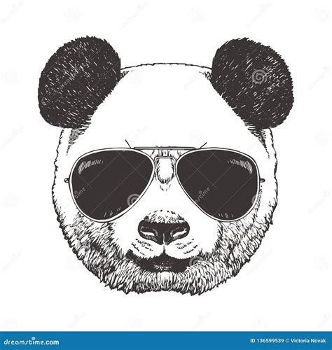 Porträt Des Pandas Mit Gläsern Von Hand Gezeichnete Illustration