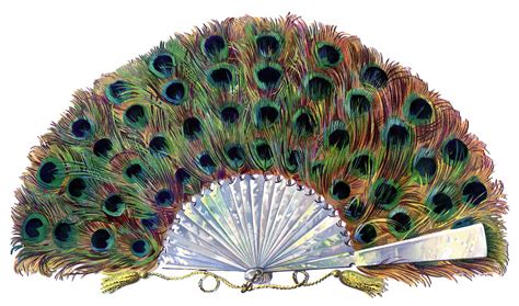 22 Free Peacock Images Fabulous The Graphics Fairy