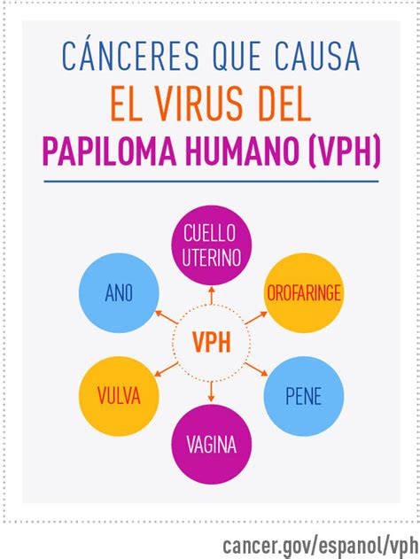 El Virus Del Papiloma Humano Vph Y El Cáncer Nci