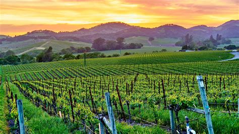 Viansa Sonoma Winery — Description Photos Reviews Planet Of Hotels