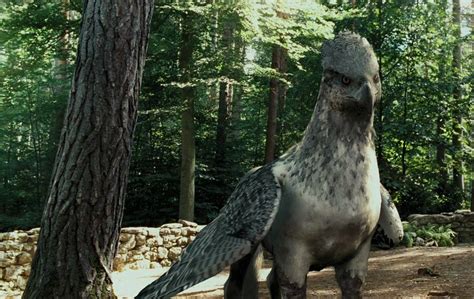Hippogriff Wallpapers Wallpaper Cave