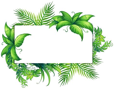 Tropical Border Vector Art Icons And Graphics For Free