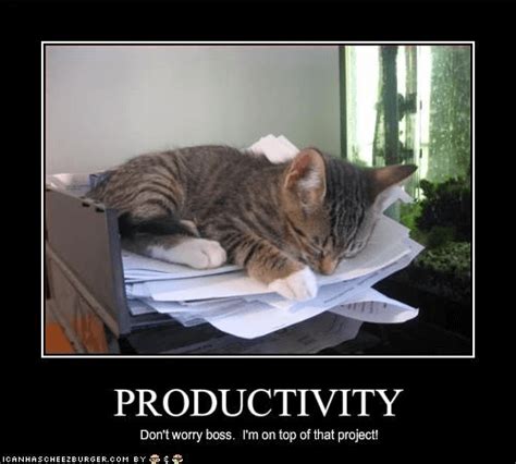 Productivity Memes Funniest Memes To Make Your Monday Suck Less