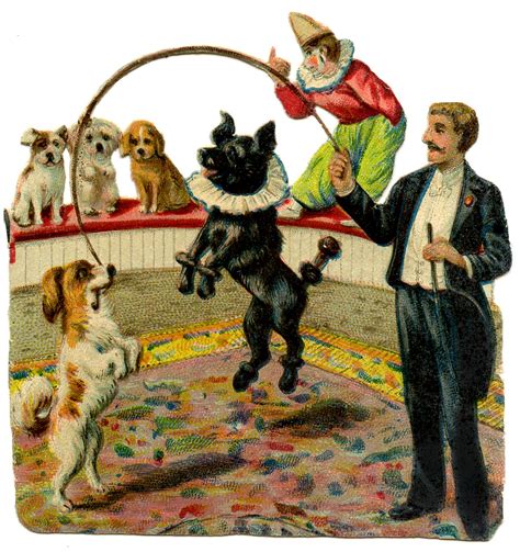 Vintage Graphic Circus Dogs The Graphics Fairy