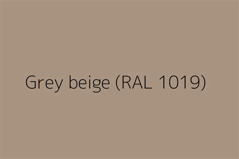 Grey Beige RAL 1019 Color HEX Code