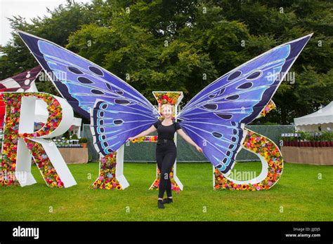 Knutsford carnival hi-res stock photography and images - Alamy