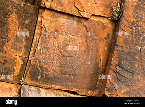 Ancient Aboriginal Rock Art Engravings Symbols Of Initiation Rites On Red Stone Walls In