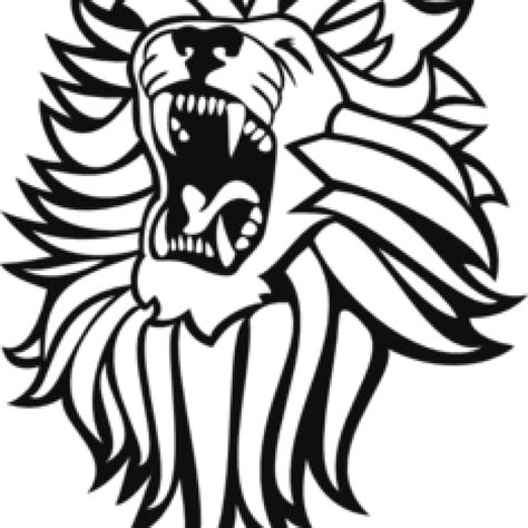 Lion Drawing Black And White At Getdrawings Free Download