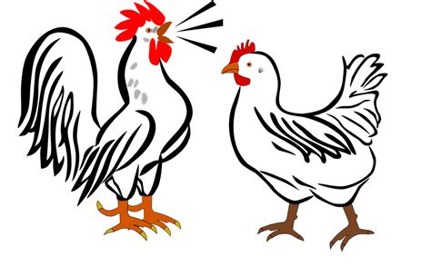 Rooster Hen Farm Free Vector Graphic On Pixabay