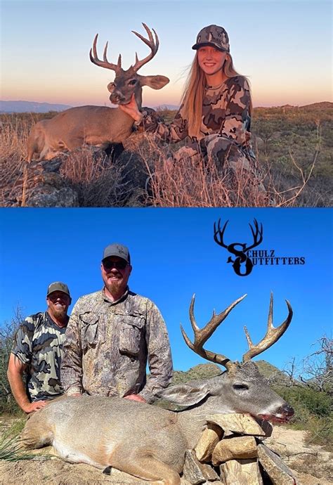 Arizona Coues Deer Hunts Schulz Outfitters