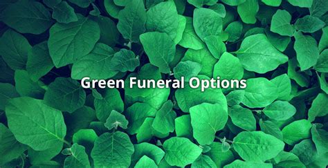 Among the provided list, i may consider the one with. Six Eco-Friendly Ideas for a Green Funeral | Funeralocity