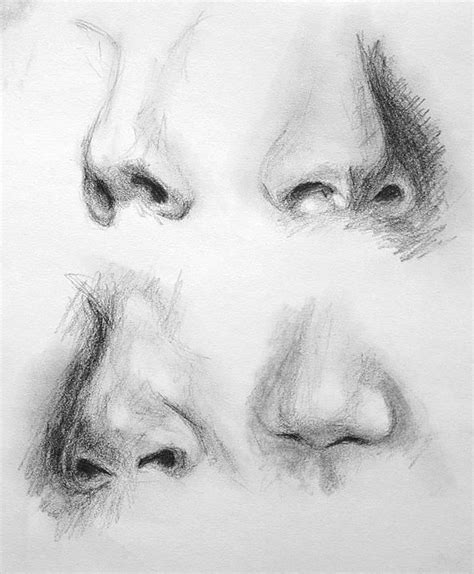 Drawing Noses In Charcoal Drawing Techniques Drawing Tips Drawing