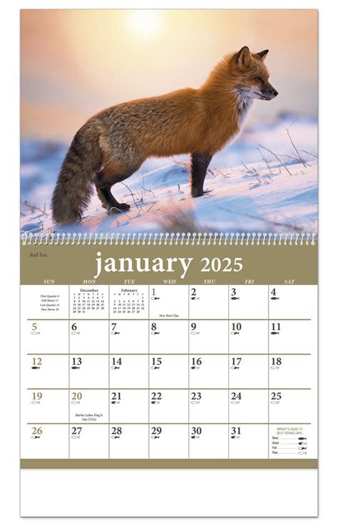 2024 Calendar Animals Deeann Ingeberg