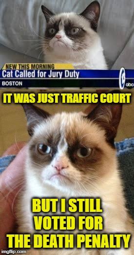 Jury Duty Meme Captions Lovely
