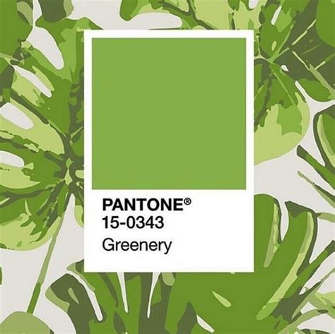 Pantone 2017 Greenery 2017 Pantone Color Of The Year Greenery Decor