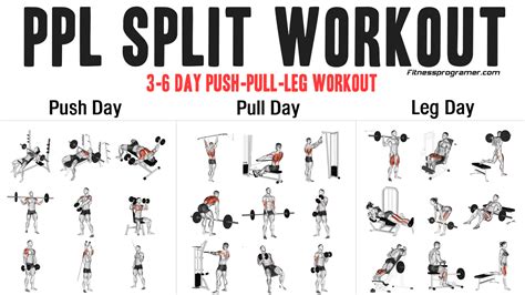 Push Pull Legs Push Pull The Push Pull Legs Split For Building Muscle Strengthlog