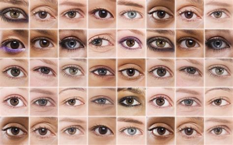 Estudios Revelan Lo Que El Color De Tus Ojos Dice Sobre Tu Personalidad