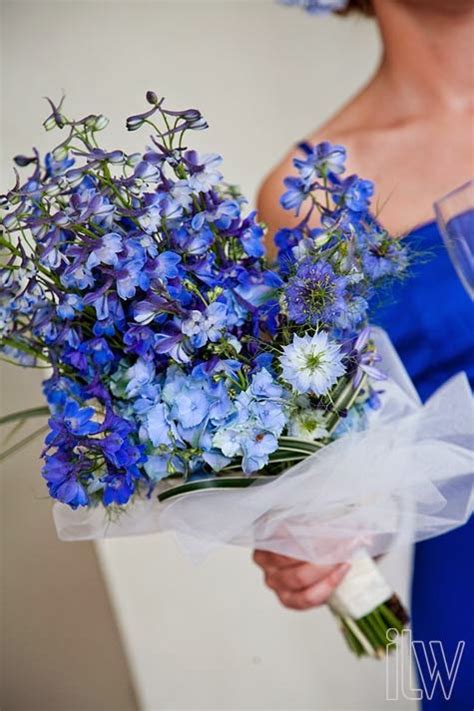 Delphinium Bouquet|http://refreshrose.blogspot.com/