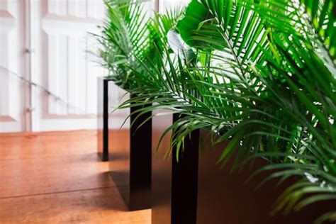 Modern Glamour The Palm Style Trend Makes Its Way To Interior Design
