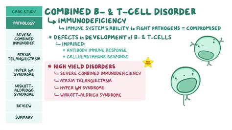 Immunodeficiencies Combined T Cell And B Cell Disorders Pathology