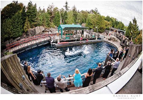 Home top vancouver attractions vancouver aquarium at stanley park. A Wedding at the Vancouver Aquarium | Alice & Chris ...