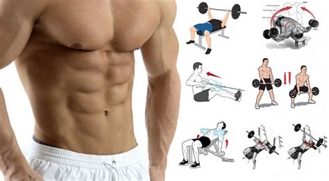 The upper arms have the muscles. Awesome Upper Body Muscle Building Exercises - Strong Muscles