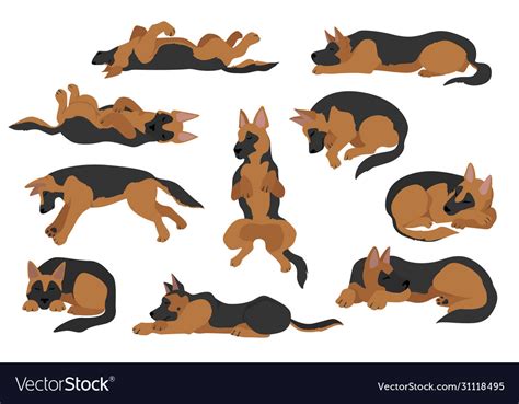 Sleeping Dogs Poses German Shepherd Dogs Vector Image