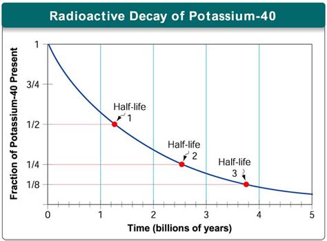 The proportion of potassium to argon suggests how. The History of Life - Biology 1 with Lauer at Danville ...