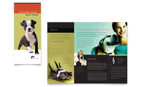 Veterinary Clinic Brochure Template Design