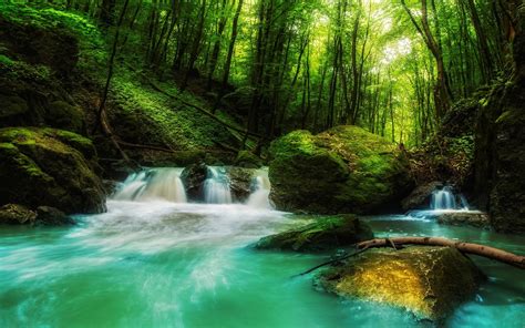 Landscape Nature Waterfall Forest Rock Sunlight Green Water