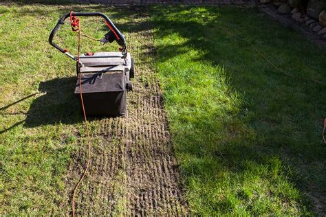 Dethatching a lawn by means of a core aerator is probably not going to be a yearly task. When Is The Best Time To Dethatch My Lawn | TcWorks.Org