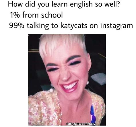 Katy Perry Meme Katy Cat Katy Perry Katy