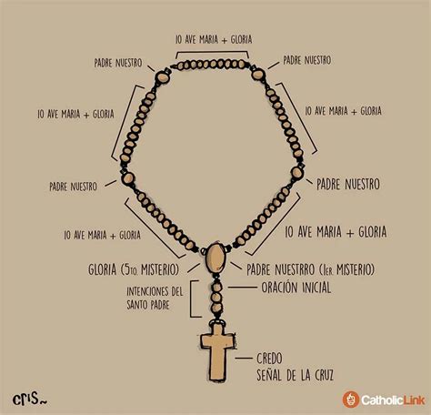 ¿cómo Rezar El Rosario Guía Visual Paso Por Paso 7dejunio