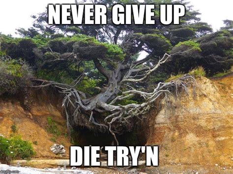 Never Give Up Meme