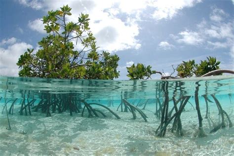 Our Trips — Aquaholics Charters Key West