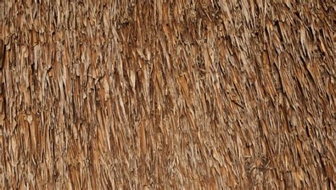 Straw Texture Seamless Free For Commercial Use High Quality Images