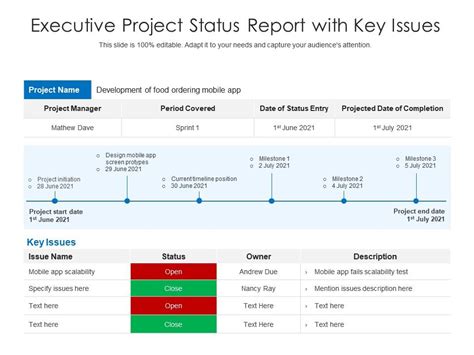 Executive Project Status Report With Key Issues Presentation Graphics