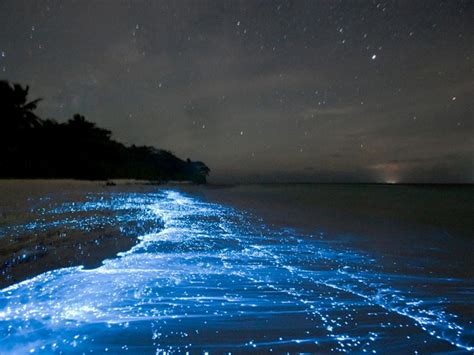 Baru 30 Pemandangan Laut Malam Kumpulan Gambar Pemandangan