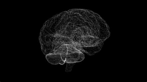 Human Brain Rotating Animation 3d Artificial Intelligence Stock
