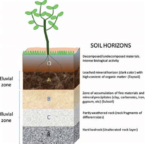 Schematic Drawing Of The Soil Profile Download Scientific Diagram