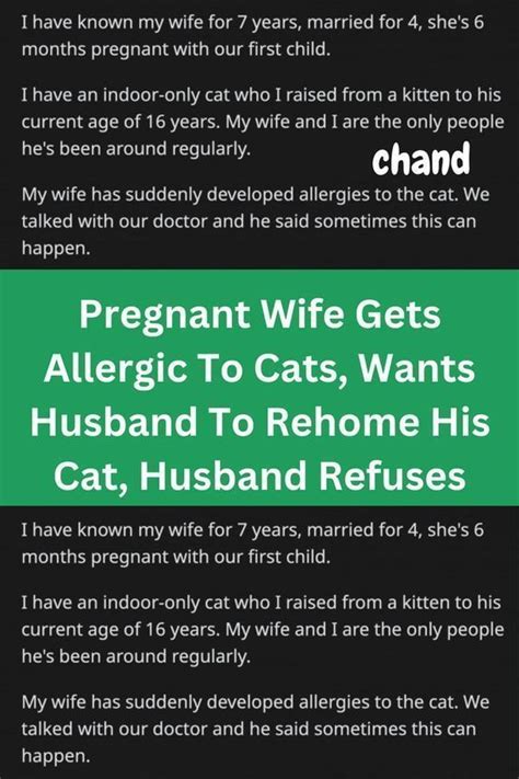 Pregnant Wife Gets Allergic To Cats Wants Husband To Rehome His Cat