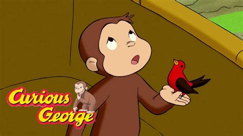 Curious George 🐵up Up And Away 🐵kids Cartoon🐵kids Movies🐵videos For