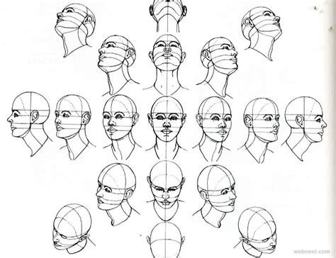 Because this is a basic tutorial, it is best used for drawing cartoon heads and for learning how to draw cartoon faces. How to Draw a Face - 25 Step by Step Drawings and Video ...