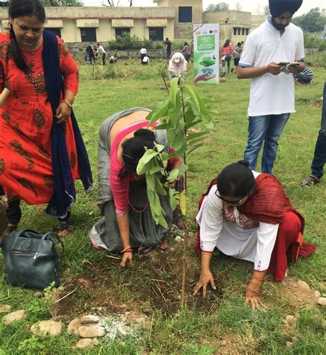 Maximum Families Participating In A Tree Plantation Drive India Book