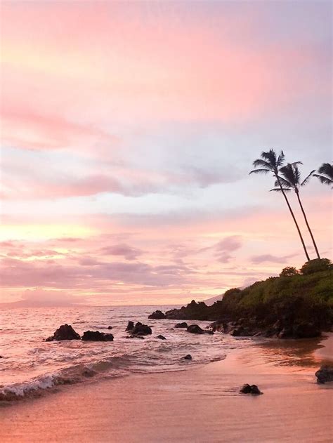 Pink Sunset Palm Trees Poster By Chloephotos Sunset Beach Pictures
