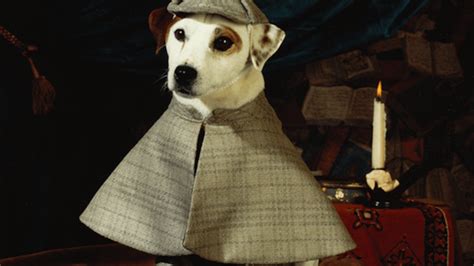 10 Classic Facts About ‘wishbone Mental Floss