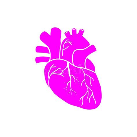 Heart Human Vector Illustration Medical Healthsignbody Blood
